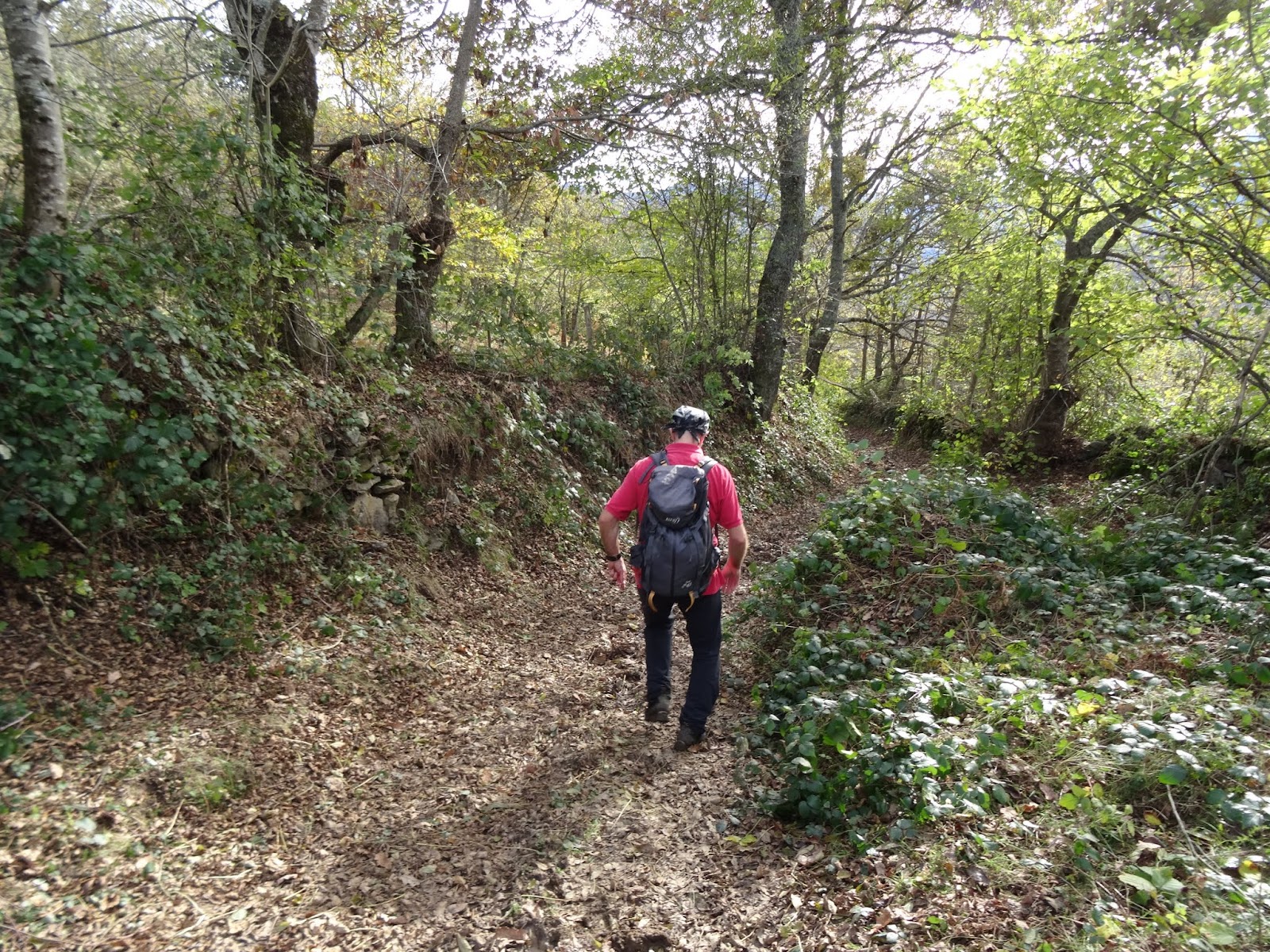 Pindio, pindio BárzanaSalceoMuriel.losLa Mortera el Teixu