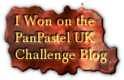 I Won at Pan Pastels - WOW