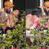 Paparazzi flagra Chris Brown enforcando uma mulher