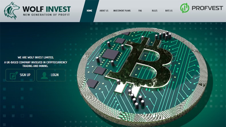 Wolf Invest: обзор и отзывы о wolfinvest.biz (HYIP платит) Wolf Invest обзор и отзывы HYIP-проекта