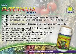 penyubur tanaman cengkeh penyubur tanaman cengkeh