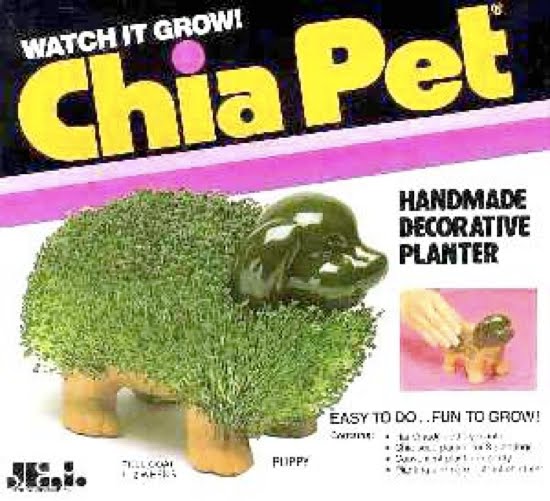 Mrs. Armstrong's Blog Chia Pets