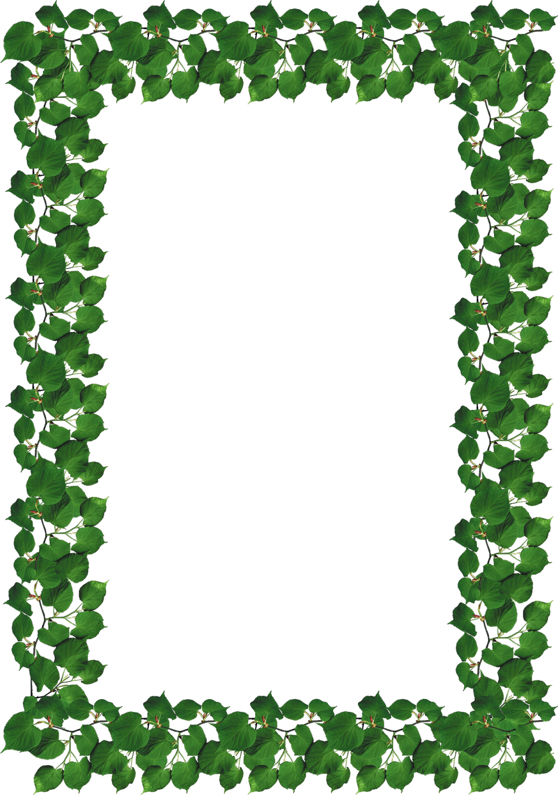 ≈ღFondos De Pantalla y Mucho Másღ≈: Marcos para fotos con plantas