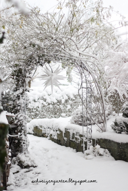 Scharfe Schere Kaltes Herz Ein Schweizer Garten Bloglovin