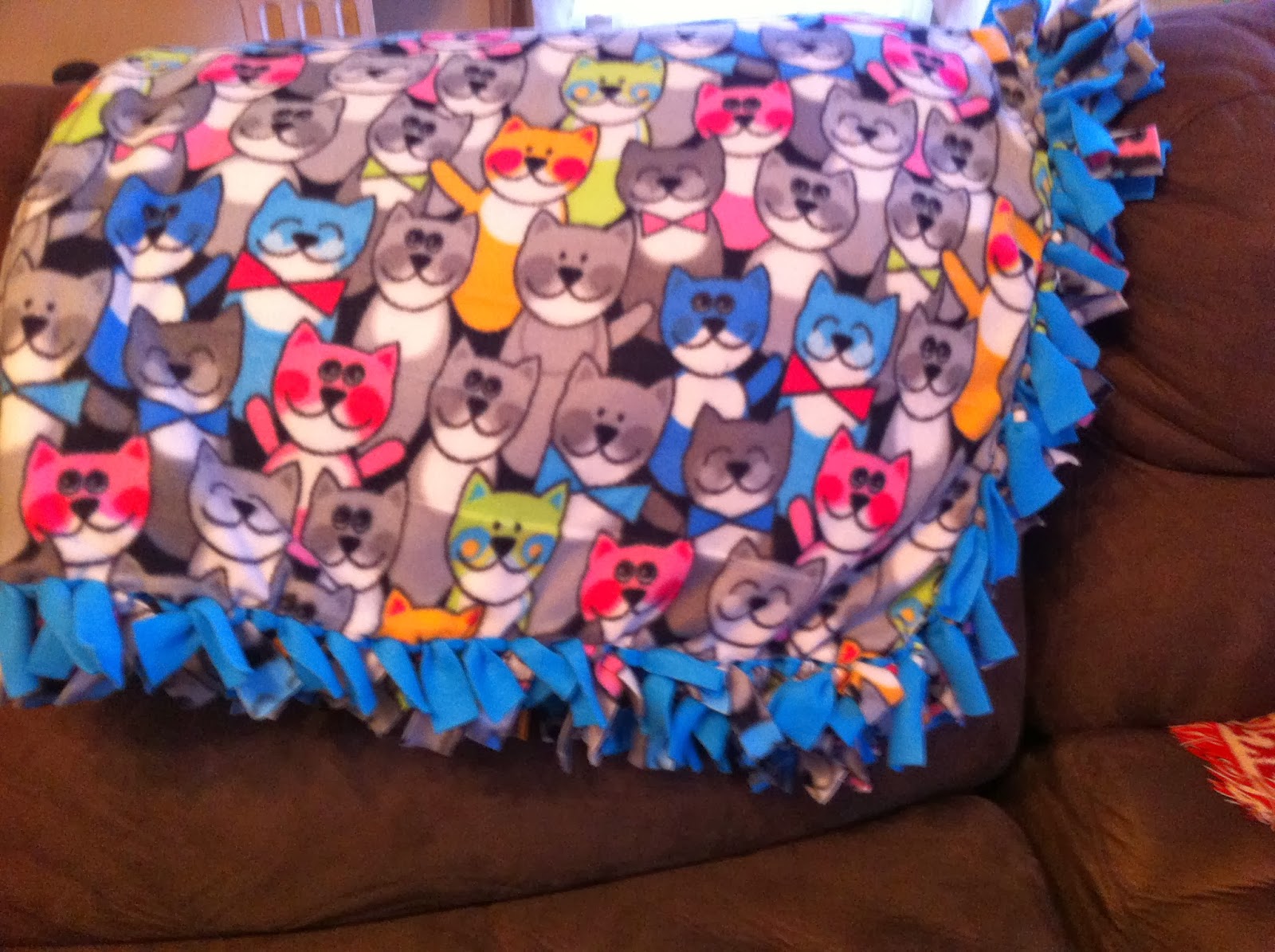 AptToCraft A cat blanket for a "Caturday" post