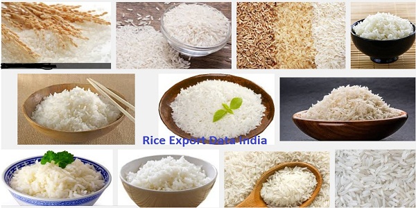 Rice Export Data