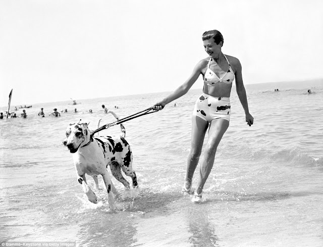  perros en la playa en 1938