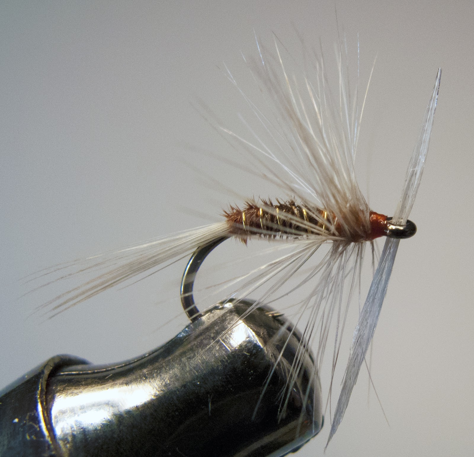 Dry Fly 'Expert': A Traditional Anatomy...