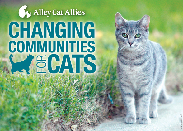 Changing communities. Чернокожее население сша женщины. Changing communities. Comprehending cults. Протесты сток.