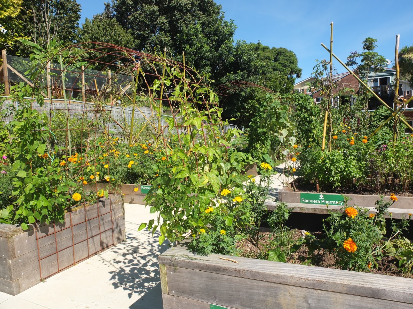 Dig It Royal Oak Organic Garden State Of The Garden 2018