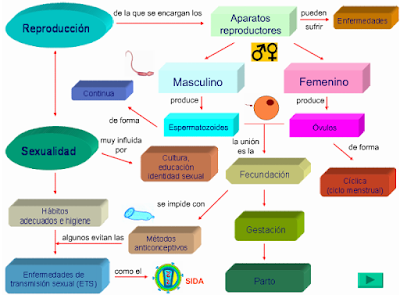 Mapa conceptual biologia