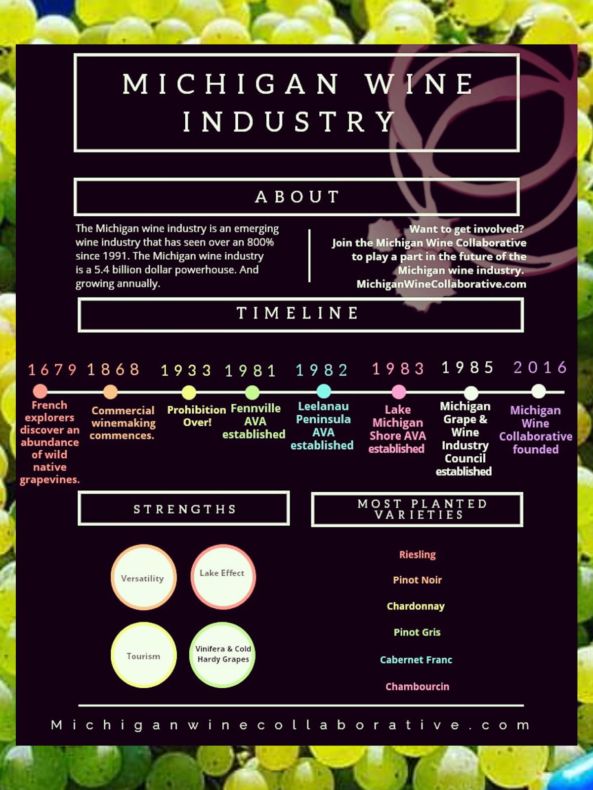 Vino Travels An Italian Wine Blog The Future is Bright for the Wines