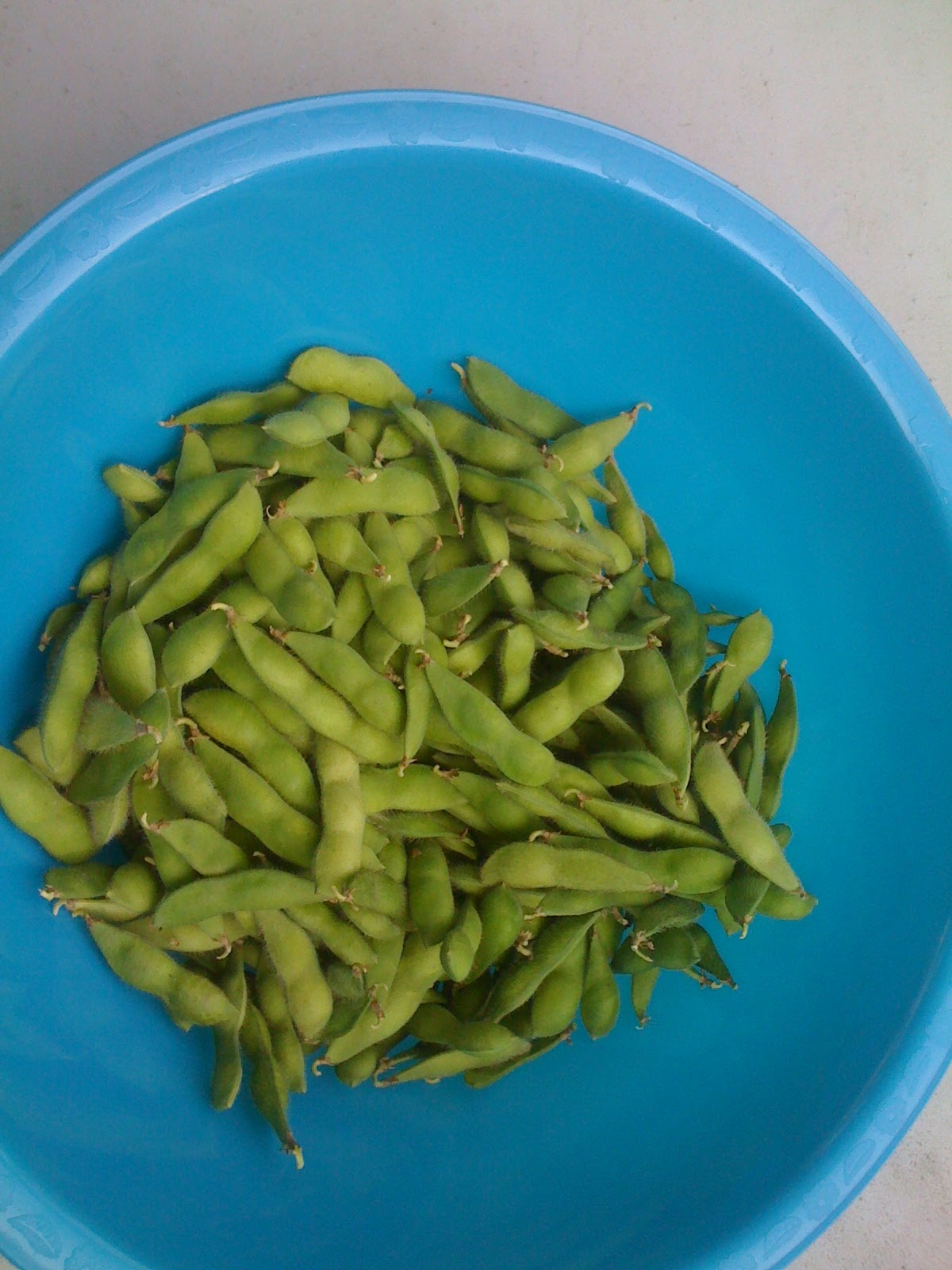 Connecting the Dots Soybeans = Edamame