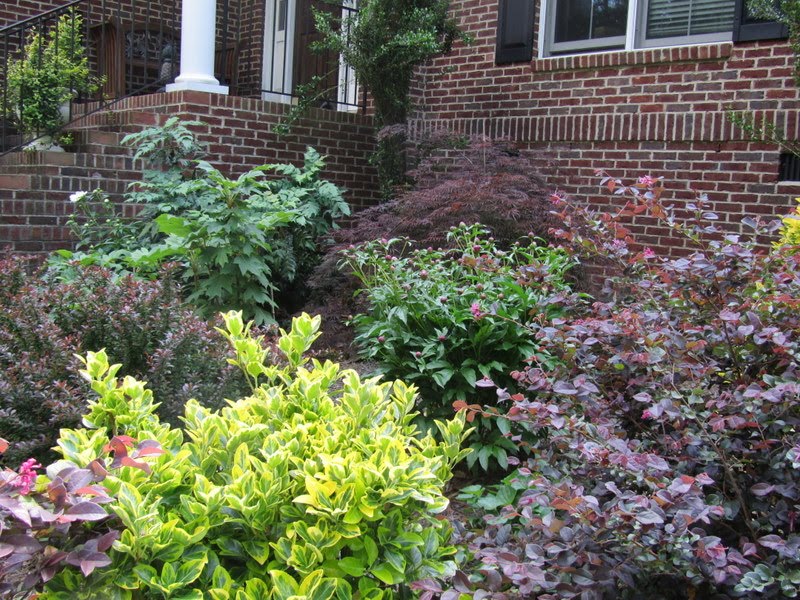 Mary Ann's Country Garden Put Some Color into Your