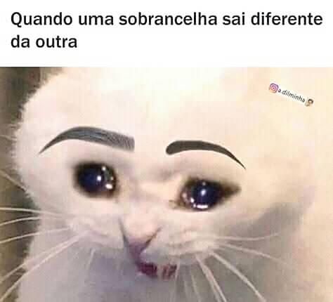 Memes engraçados Memes engraçados