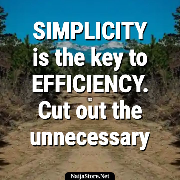Quotes - SIMPLICITY is the key to EFFICIENCY. Cut out the unnecessary - Motivation