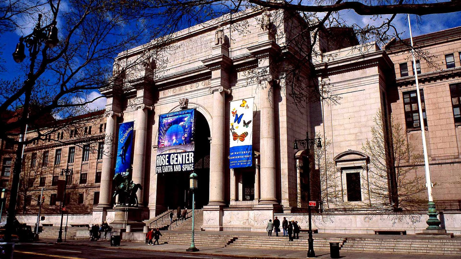 Американский музей естественной истории