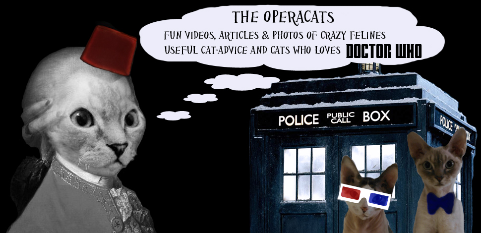 The Operacats