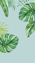 jungle iphone leaves wallpapers 5s backgrounds watercolor plants background desktop tropical dlolleys help dlolleyshelp palm plant cartoon monstera danielle posted