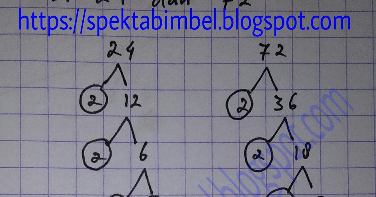 Cara Mengenal Faktor Dari 24