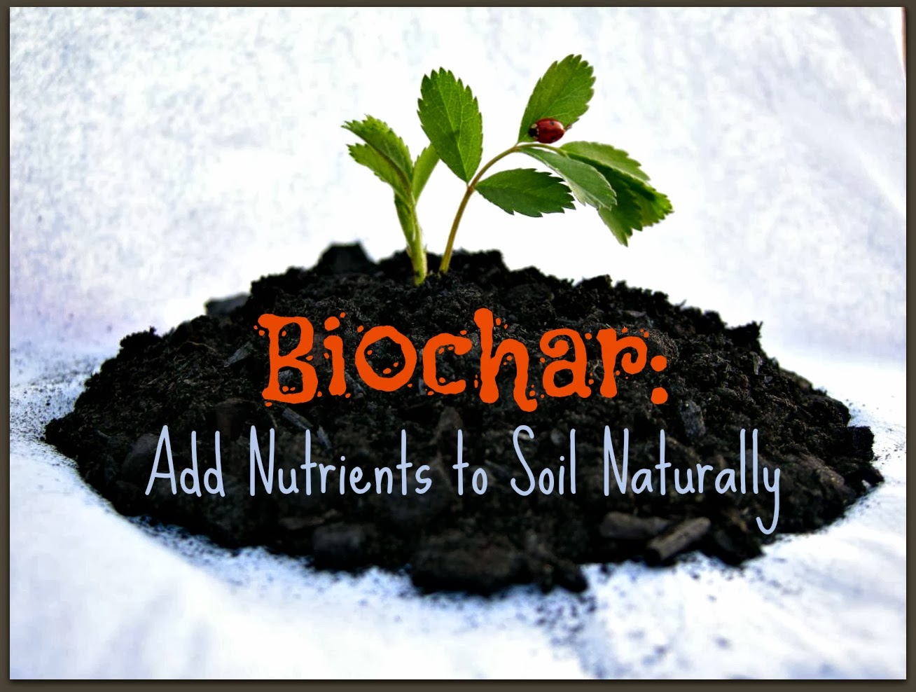 Biochar nutrient content