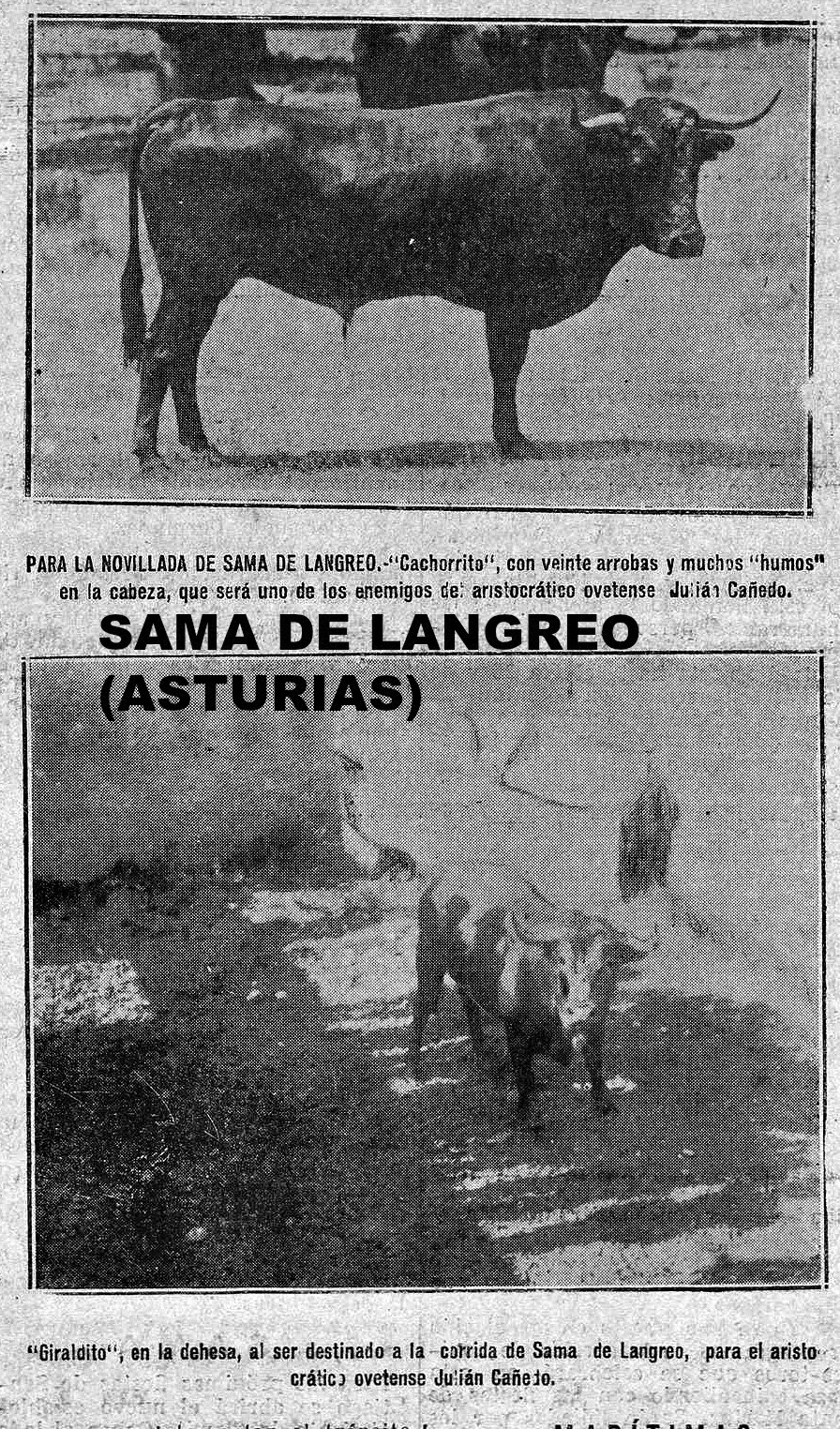 SAMA DE LANGREO ASTURIAS TOROS