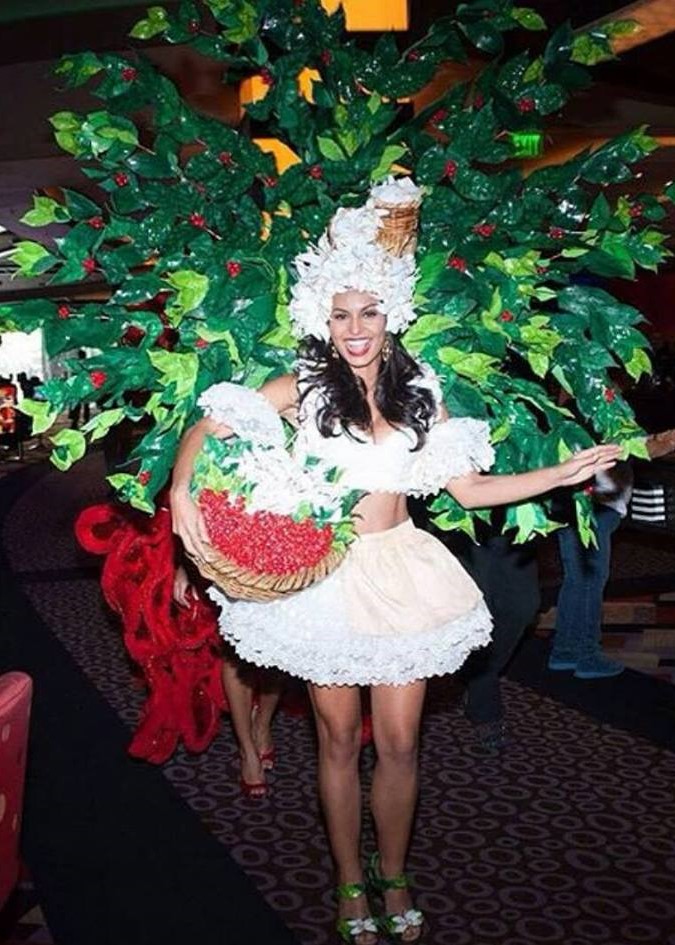 SASHES AND TIARAS.....Miss Universe 2015 National Costumes Sneak Peak
