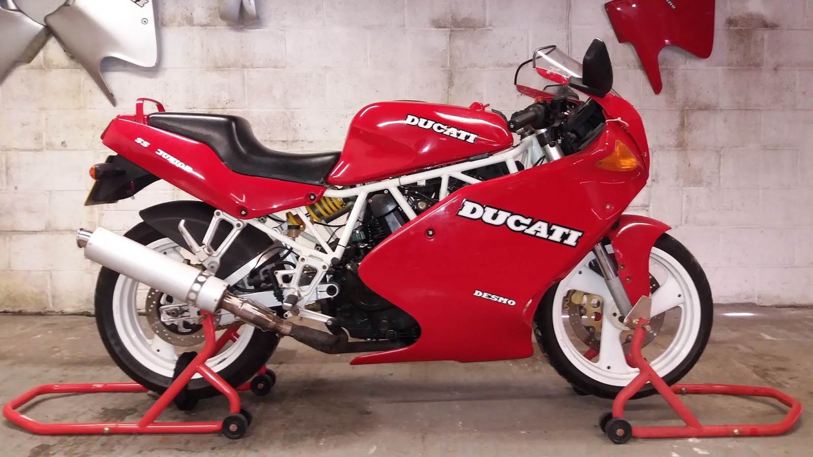 ducati international