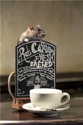rat café