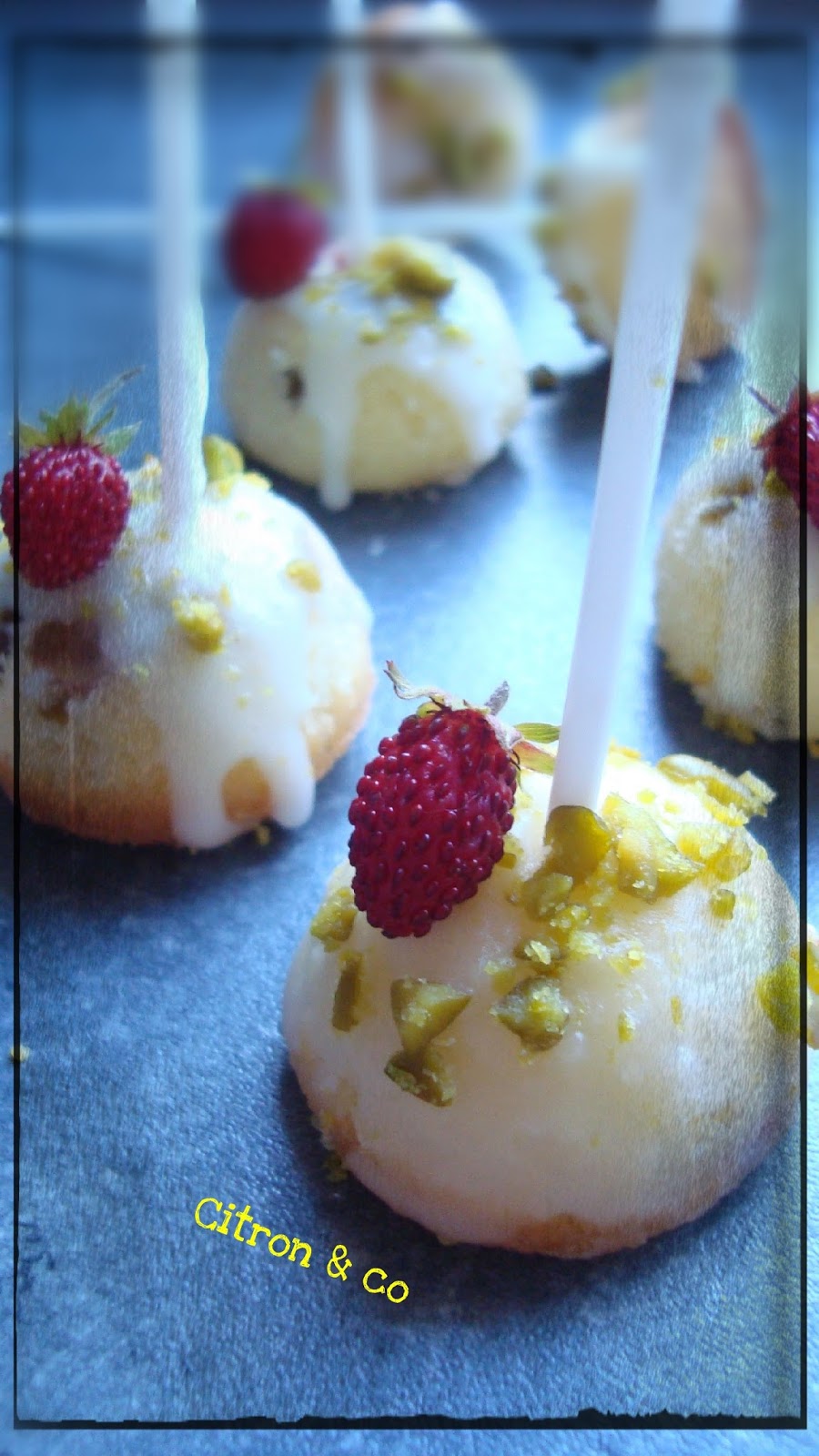 Pop Cake Pralin Ef Bf Bd Pop Cake Pralin Ef Bf Bd