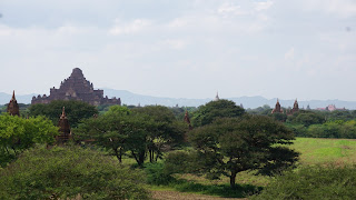 DSC06944.JPG