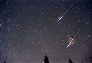Prospect Park & regional bird sightings: Geminids Meteor showers ...