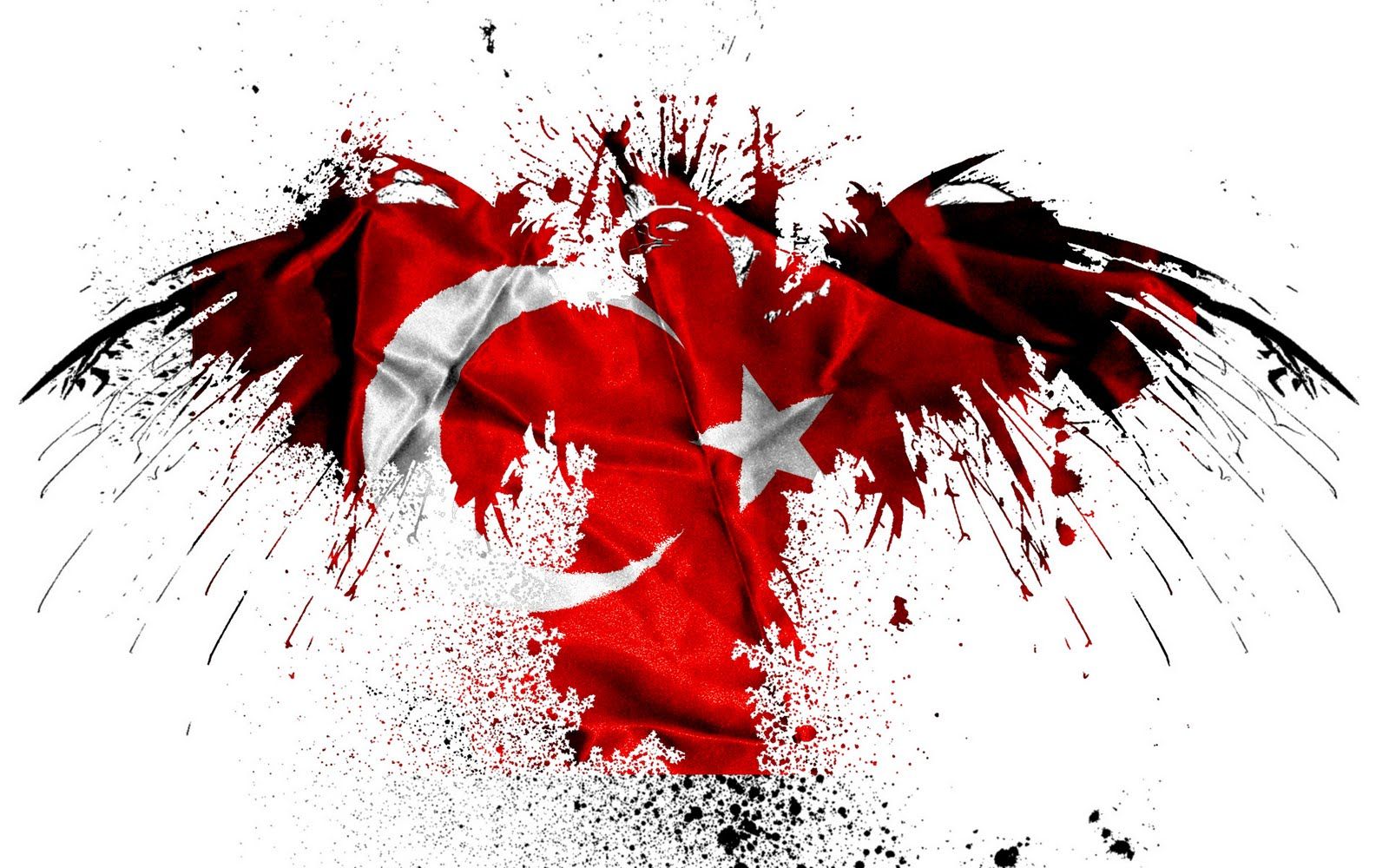 Kartal resimli turk bayraklari 3