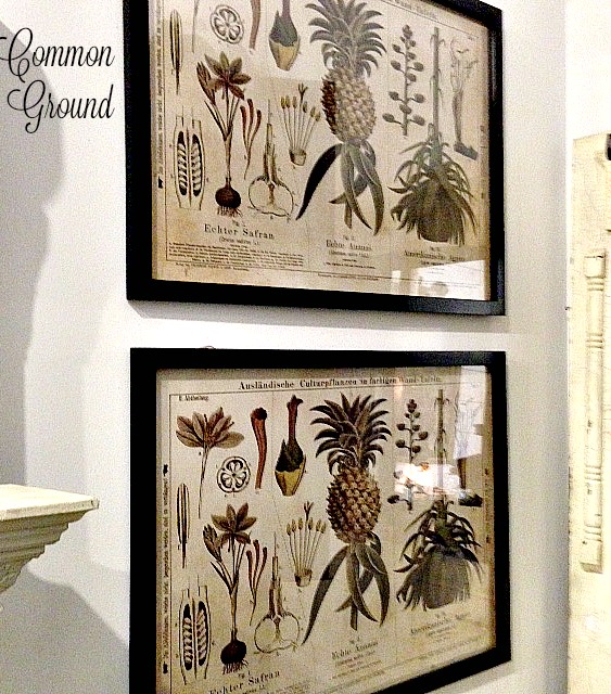 common ground Out and About... at Harrison House Market