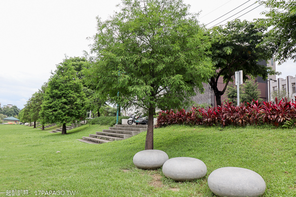 台中大里|興大康橋水岸公園|景觀橋|阿勃勒|落羽松|大里最美河畔 台中大里|興大康橋水岸公園|景觀橋|阿勃勒|落羽松|大里最美河畔