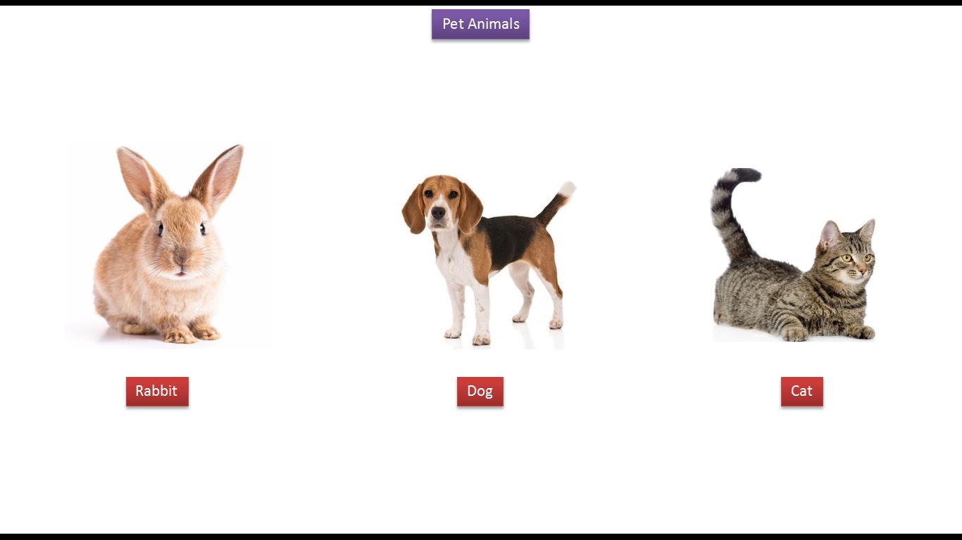 JAVA EE: Kids: Pet Animals V1 | Pet Animals name