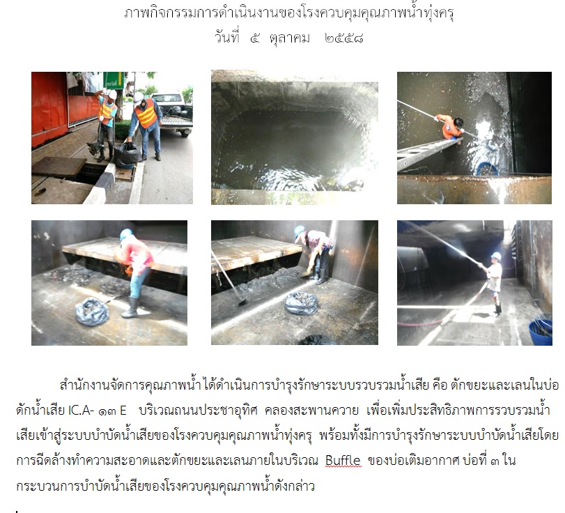 My Image 16