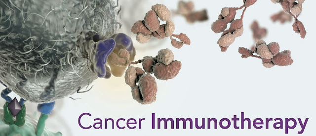 About Cancer Immunotherapy About Cancer Immunotherapy