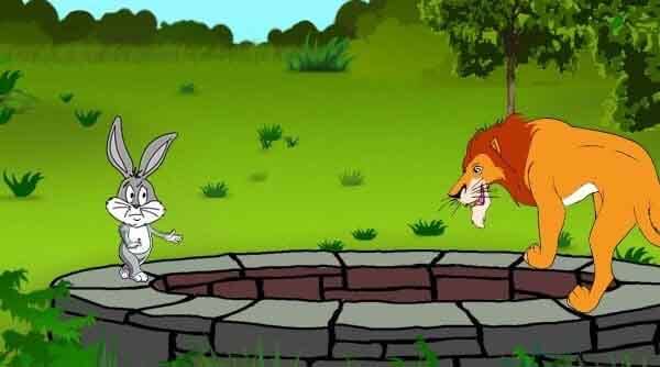 about rabbit in hindi