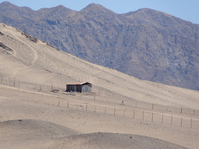 Chili-clôture dans le désert