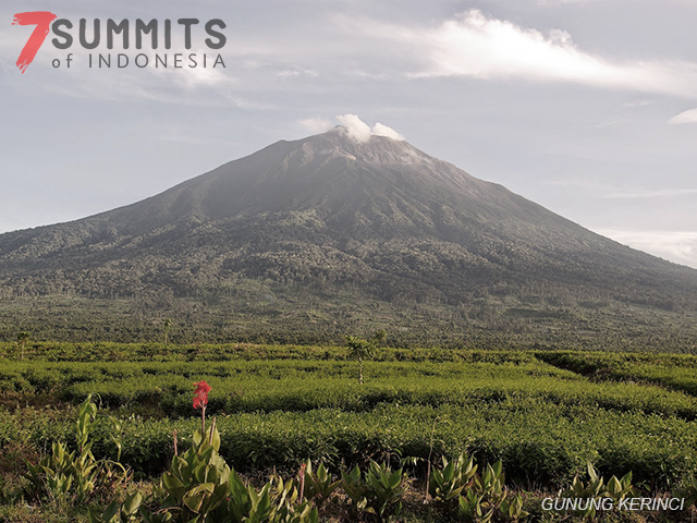 Gunung Kerinci Gunung Kerinci