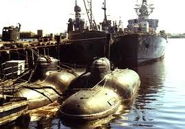 how to roast a turkey breast midget submarine operations