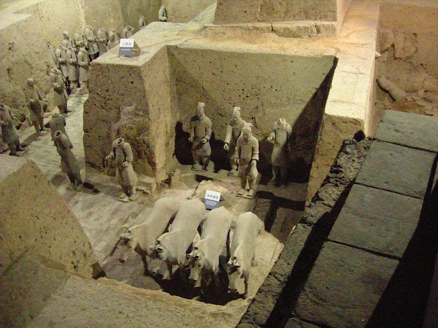 Sophisticated Terracota Warriors Armies of The Qin Emperor