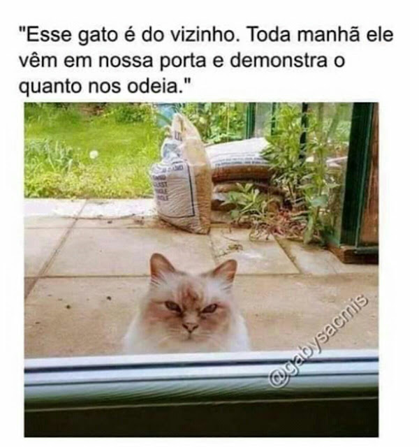 Memes engraçados Memes engraçados