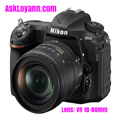 Best Nikon D500 SLR Review