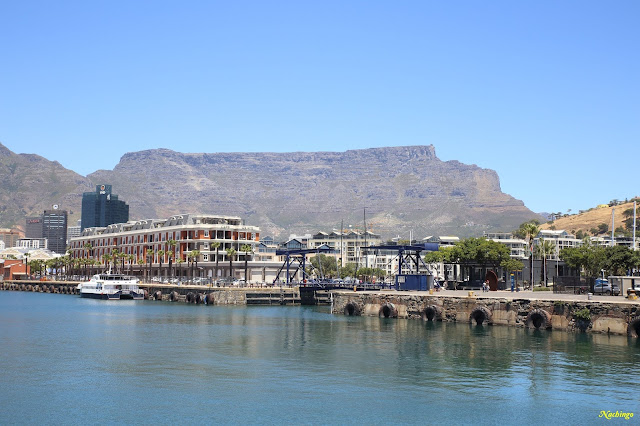 Ciudad del Cabo y Garden Route - Blogs de Sudáfrica - 22-11-18. Segundo día en Ciudad del Cabo y camino a Hermanus. (3)