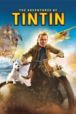 The Adventures of Tintin (2011)  