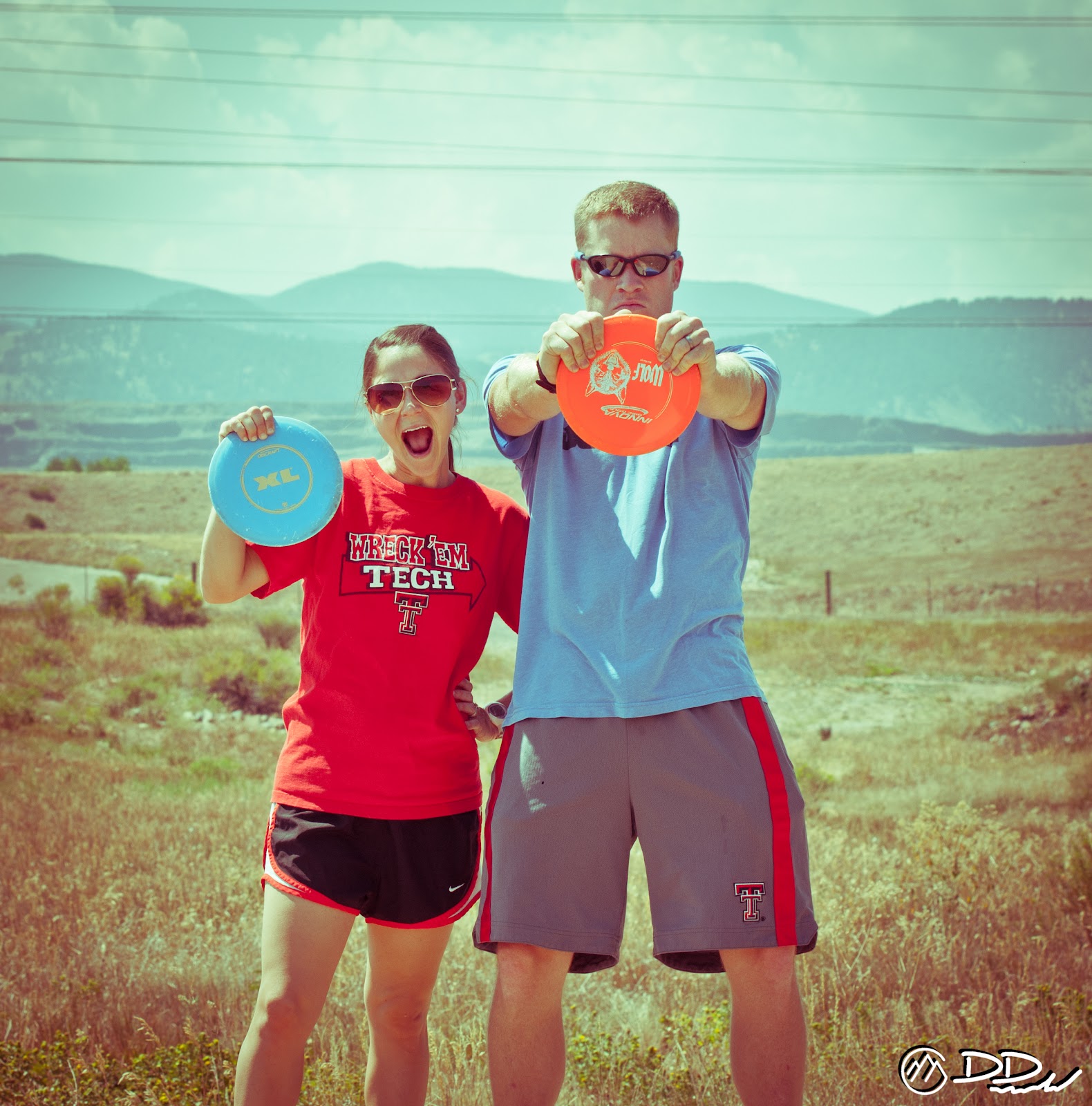 Birds Nest Disk Park