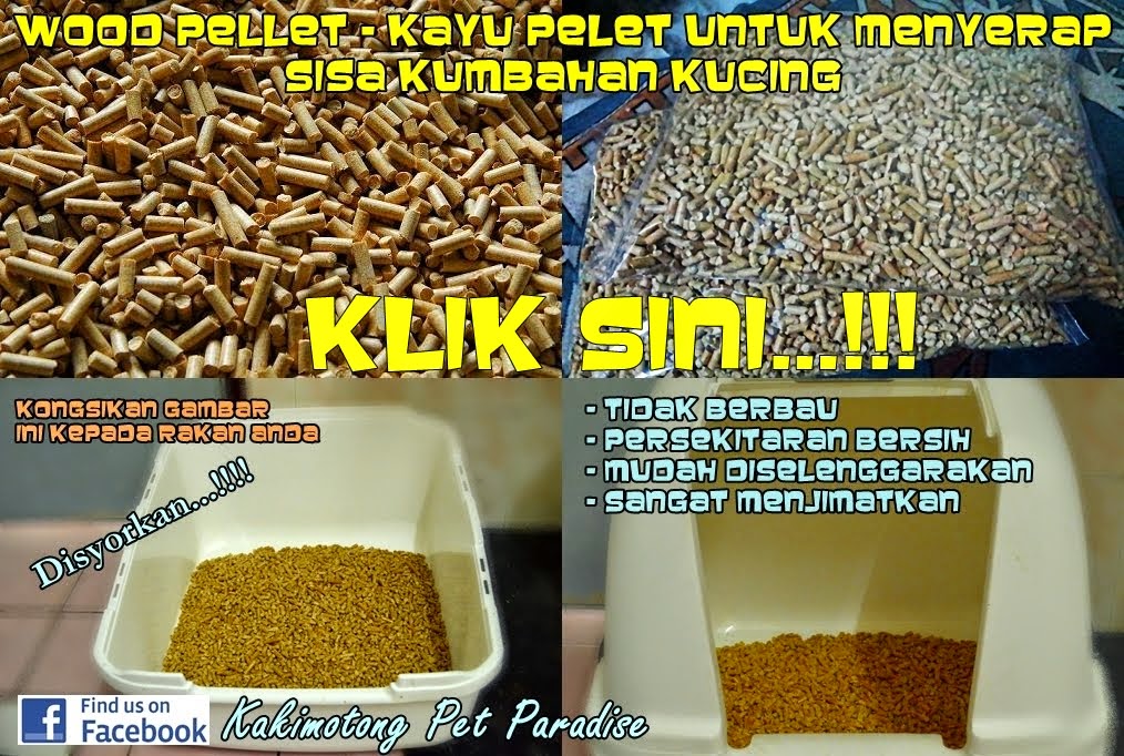 UNTUK DIJUAL : Wood Pellet Penyerap Sisa Kumbahan Kucing