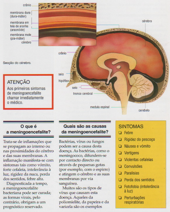 MENINGOENCEFALITE A CHAVE DO BEM ESTAR